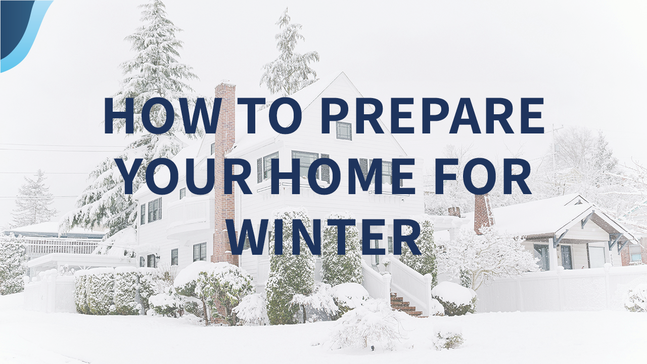 5 Preventative Winter Tree Care Tips for Homeowners